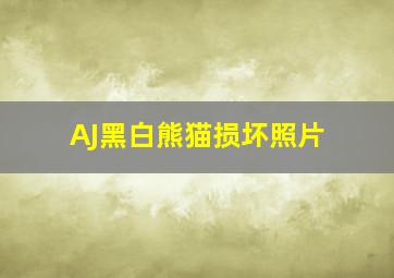 AJ黑白熊猫损坏照片