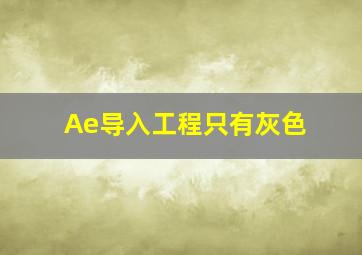 Ae导入工程只有灰色