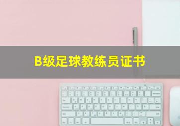 B级足球教练员证书