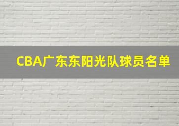 CBA广东东阳光队球员名单