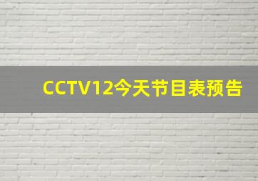 CCTV12今天节目表预告