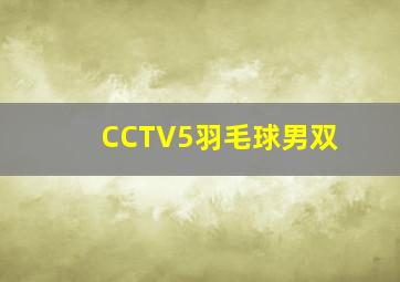 CCTV5羽毛球男双