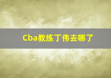 Cba教练丁伟去哪了