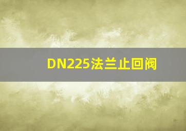 DN225法兰止回阀