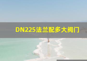 DN225法兰配多大阀门