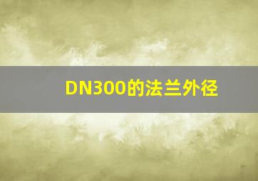 DN300的法兰外径