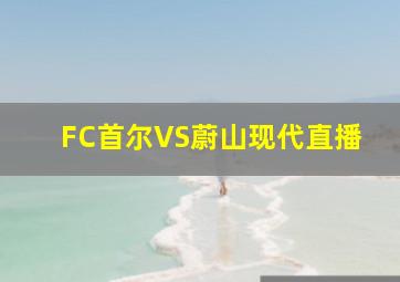 FC首尔VS蔚山现代直播