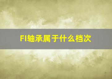 FI轴承属于什么档次