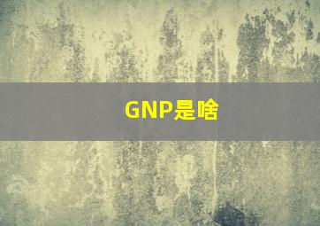 GNP是啥