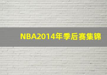 NBA2014年季后赛集锦