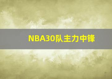 NBA30队主力中锋