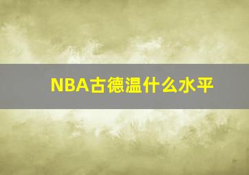 NBA古德温什么水平