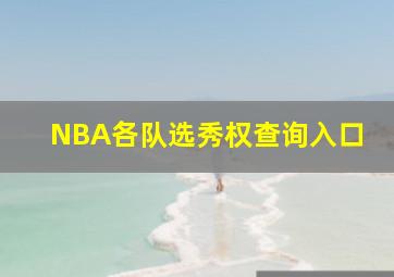 NBA各队选秀权查询入口