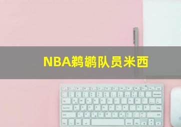 NBA鹈鹕队员米西