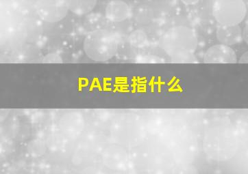 PAE是指什么