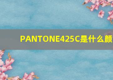 PANTONE425C是什么颜色