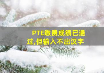 PTE缴费成绩已通过,但输入不出汉字