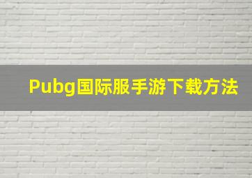 Pubg国际服手游下载方法