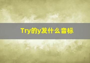 Try的y发什么音标