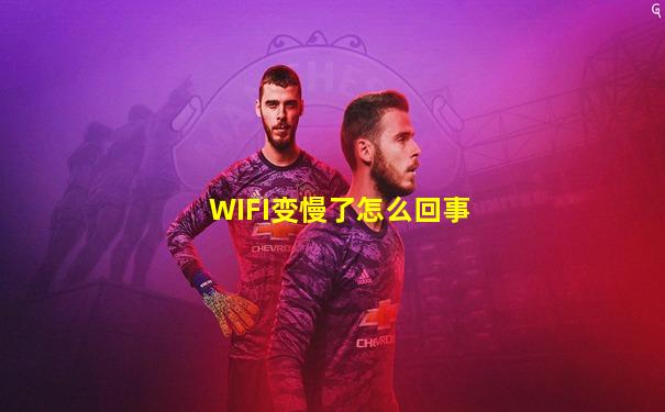 WIFI变慢了怎么回事