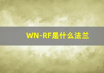 WN-RF是什么法兰