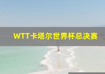 WTT卡塔尔世界杯总决赛