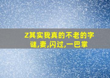 Z其实我真的不老的字谜,妻,闪过,一巴掌