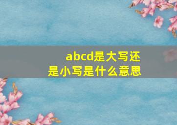 abcd是大写还是小写是什么意思