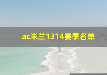 ac米兰1314赛季名单