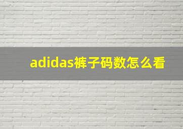 adidas裤子码数怎么看