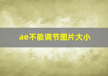 ae不能调节图片大小