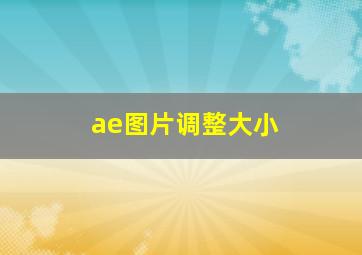 ae图片调整大小