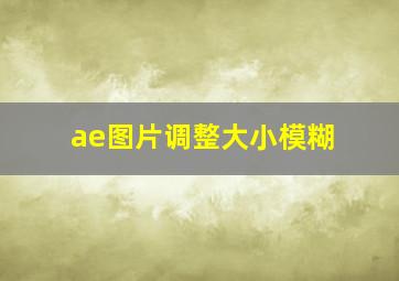 ae图片调整大小模糊