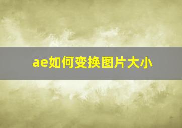 ae如何变换图片大小