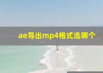 ae导出mp4格式选哪个