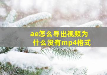 ae怎么导出视频为什么没有mp4格式