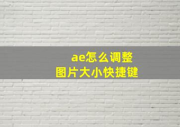 ae怎么调整图片大小快捷键