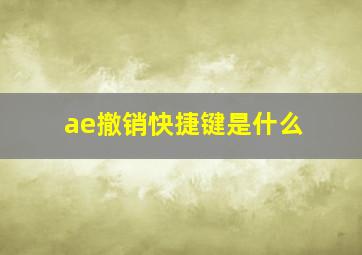 ae撤销快捷键是什么