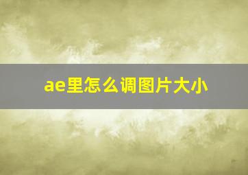 ae里怎么调图片大小