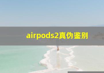 airpods2真伪鉴别