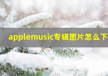 applemusic专辑图片怎么下载