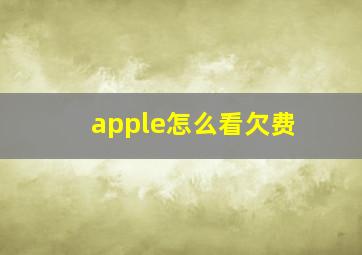 apple怎么看欠费