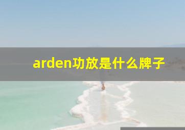 arden功放是什么牌子