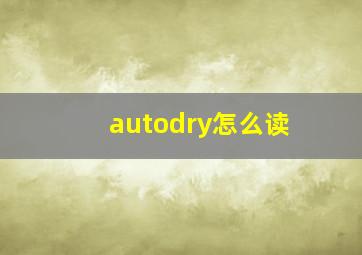 autodry怎么读