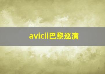 avicii巴黎巡演