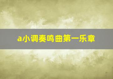 a小调奏鸣曲第一乐章