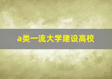 a类一流大学建设高校