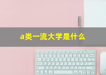 a类一流大学是什么