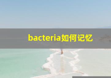 bacteria如何记忆