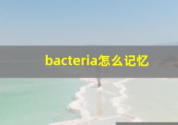 bacteria怎么记忆